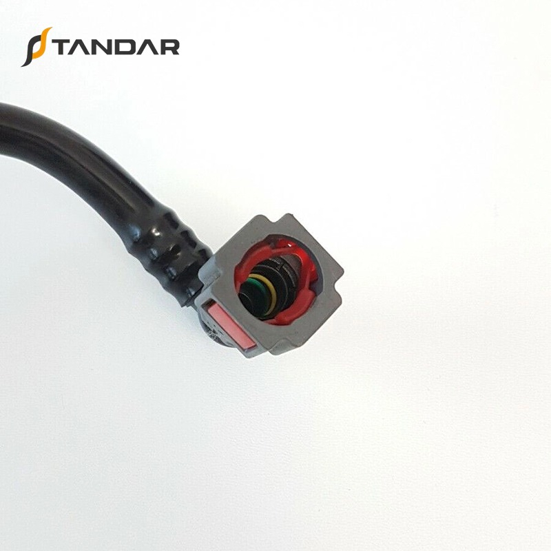 166719232R/166715297R/166715777R Automobile Fuel Injection Line Renault Kango 1.9 DCI