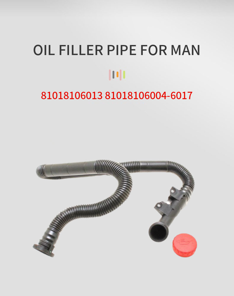 81018106013-81018106004-6017_01