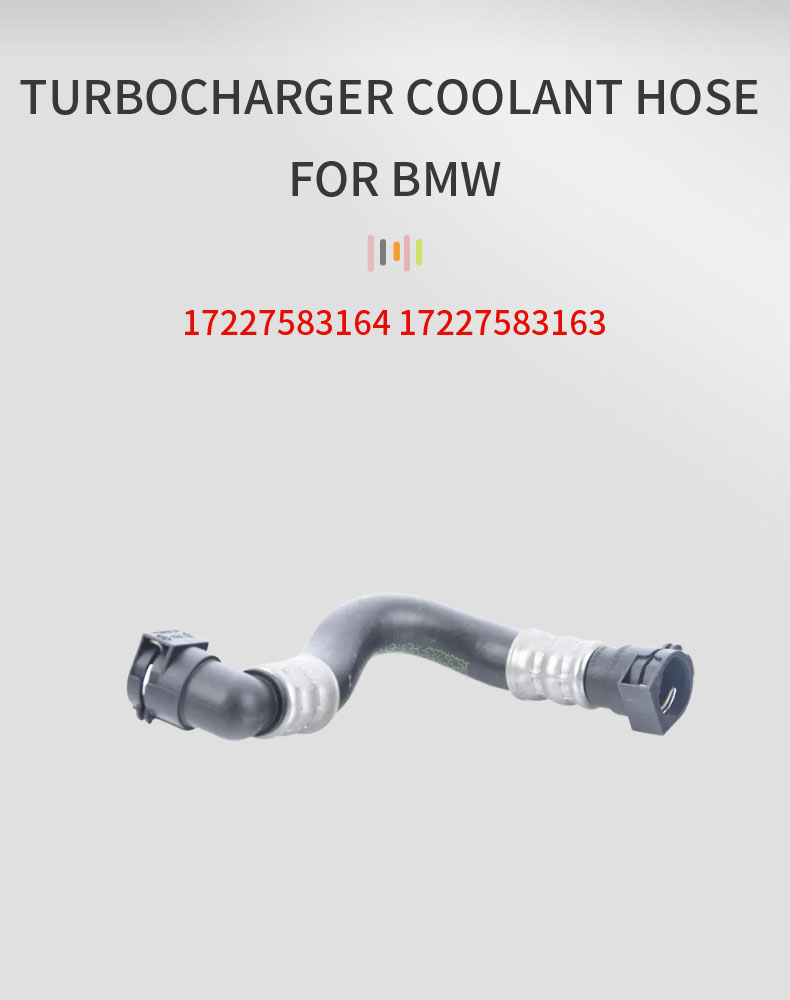 17227583164-17227583163_01