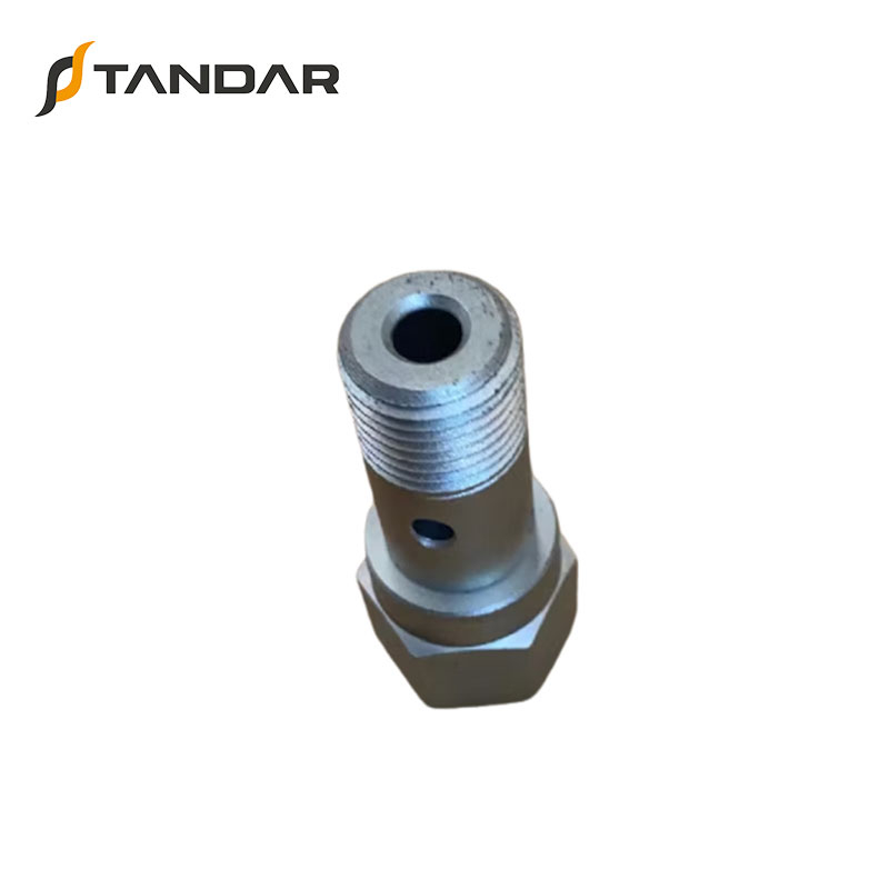 OEM 2469403530 Original Brand New Pressure Control Valve Overflow Valve for RENAULT