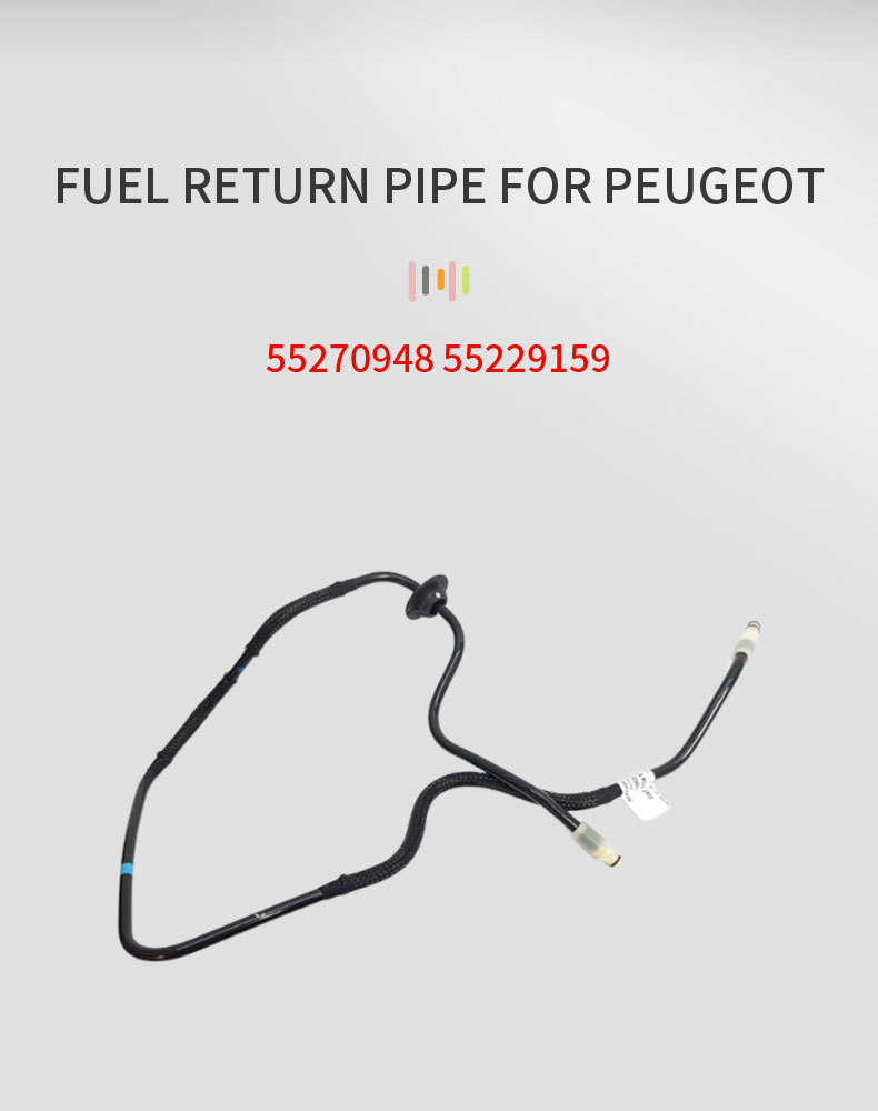 55270948-55229159_01