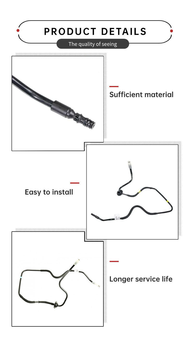 55270948-55229159_02