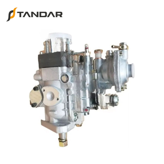 0460424289 0460424291External Fuel Pump for Fuel Injection VE Pump for VE4/12F1100R963-2 VE4 /12F1100R93Fuel Pump 12V/24V Diesel Pump GM Diesel Fuel Injection Pump Assembly Inline Fuel Injection Pump 
