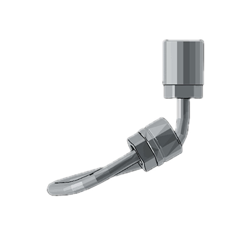 2899571 2899572 2899573 Hot Selling Automotive Engine High-pressure Fuel Supply Tube for Cummins ISZ Engine